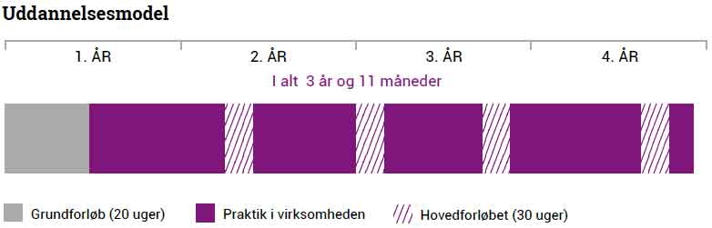 mediegrafiker uddannelsemodel